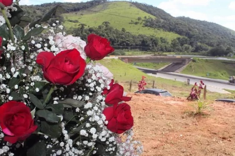 Produtores de flores comemoram safra em Minas