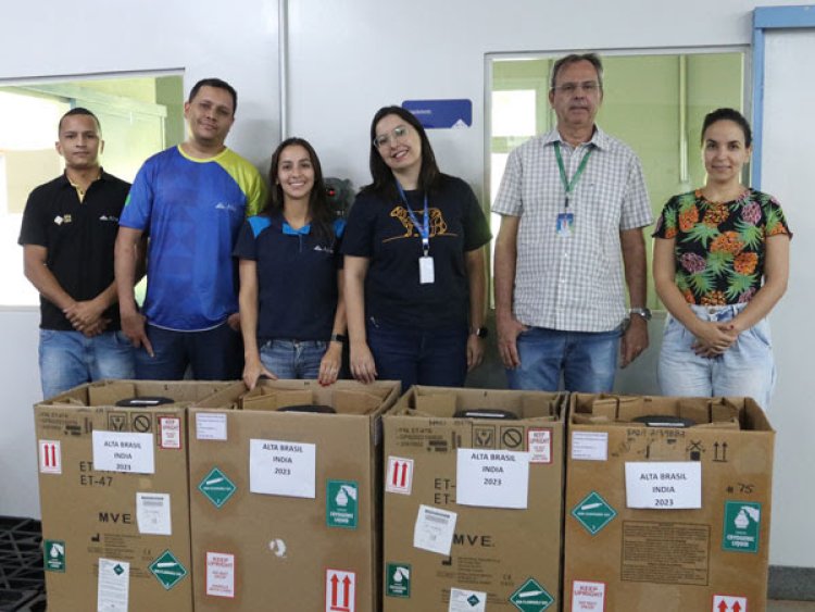 Uberaba exporta recorde de sêmen