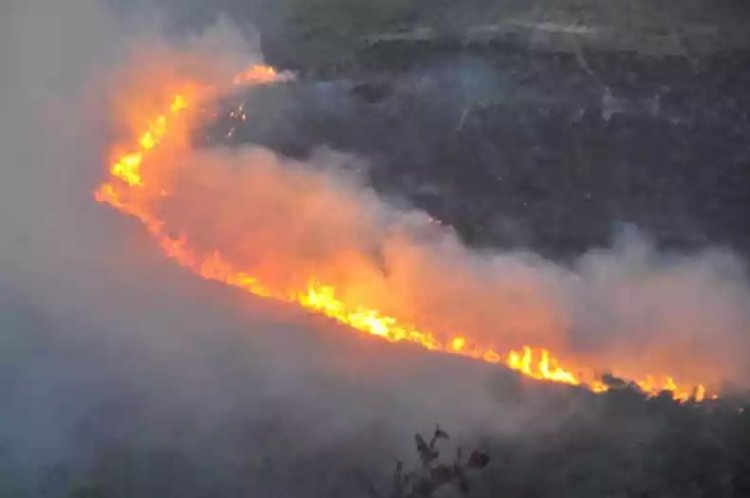 SIAMIG manifesta preocupação com os incêndios rurais em Minas